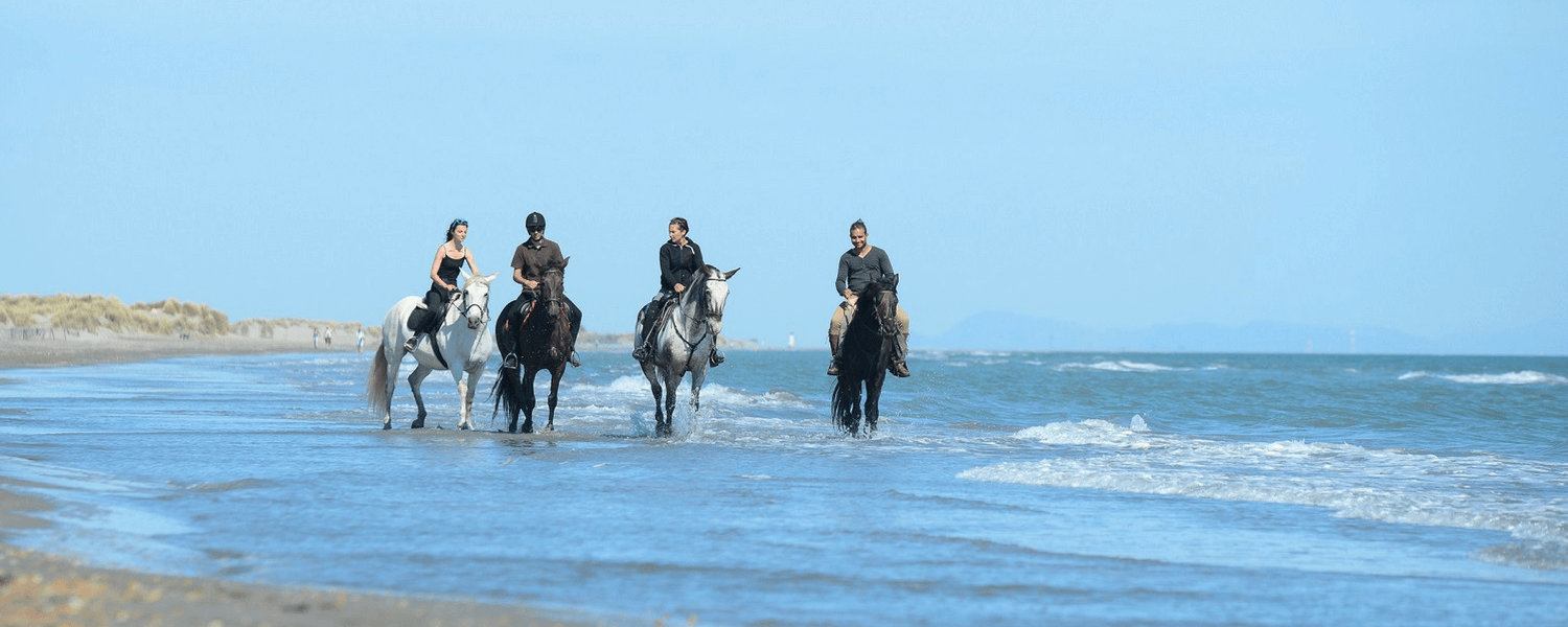 Horseback riding in the ocean